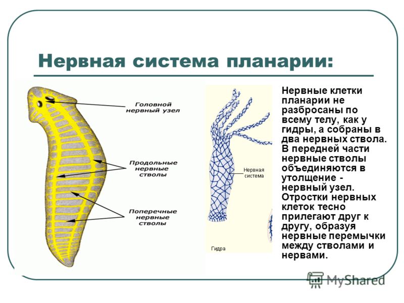 Как открыть ссылку с кракена